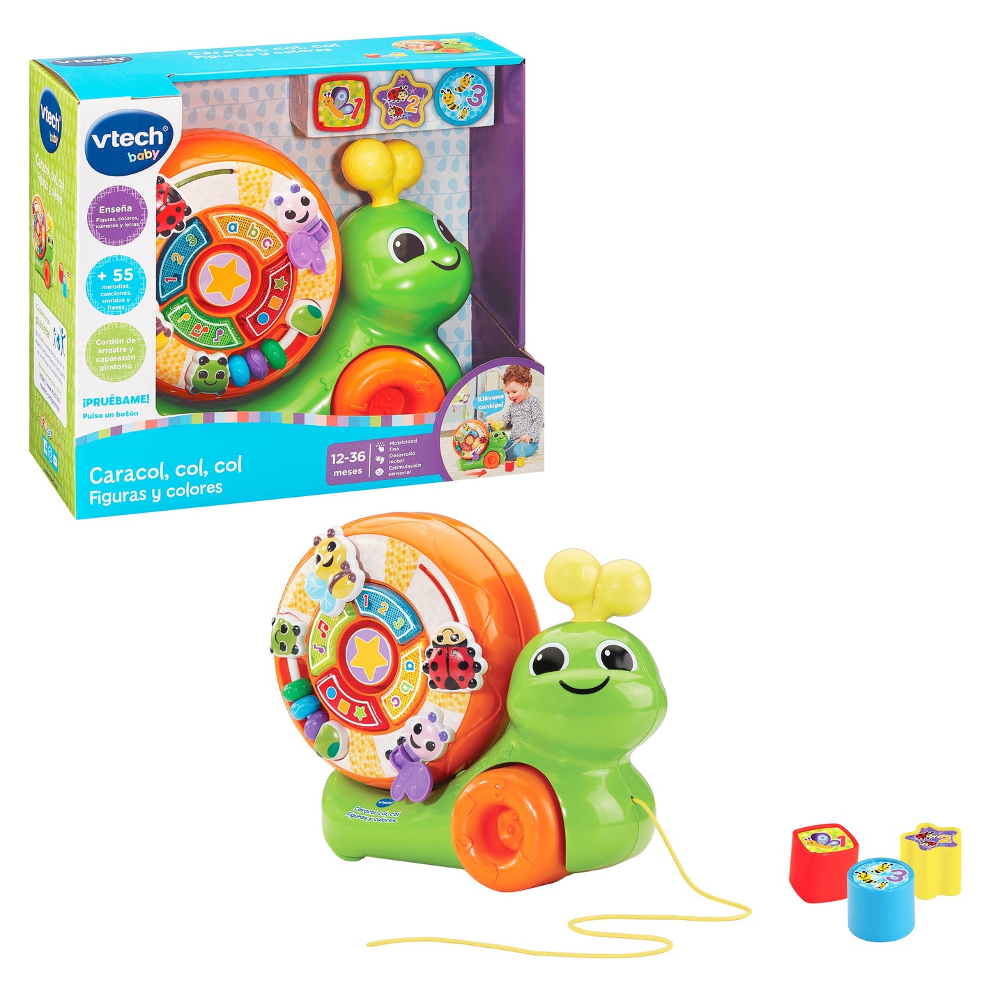 Caracol Colores