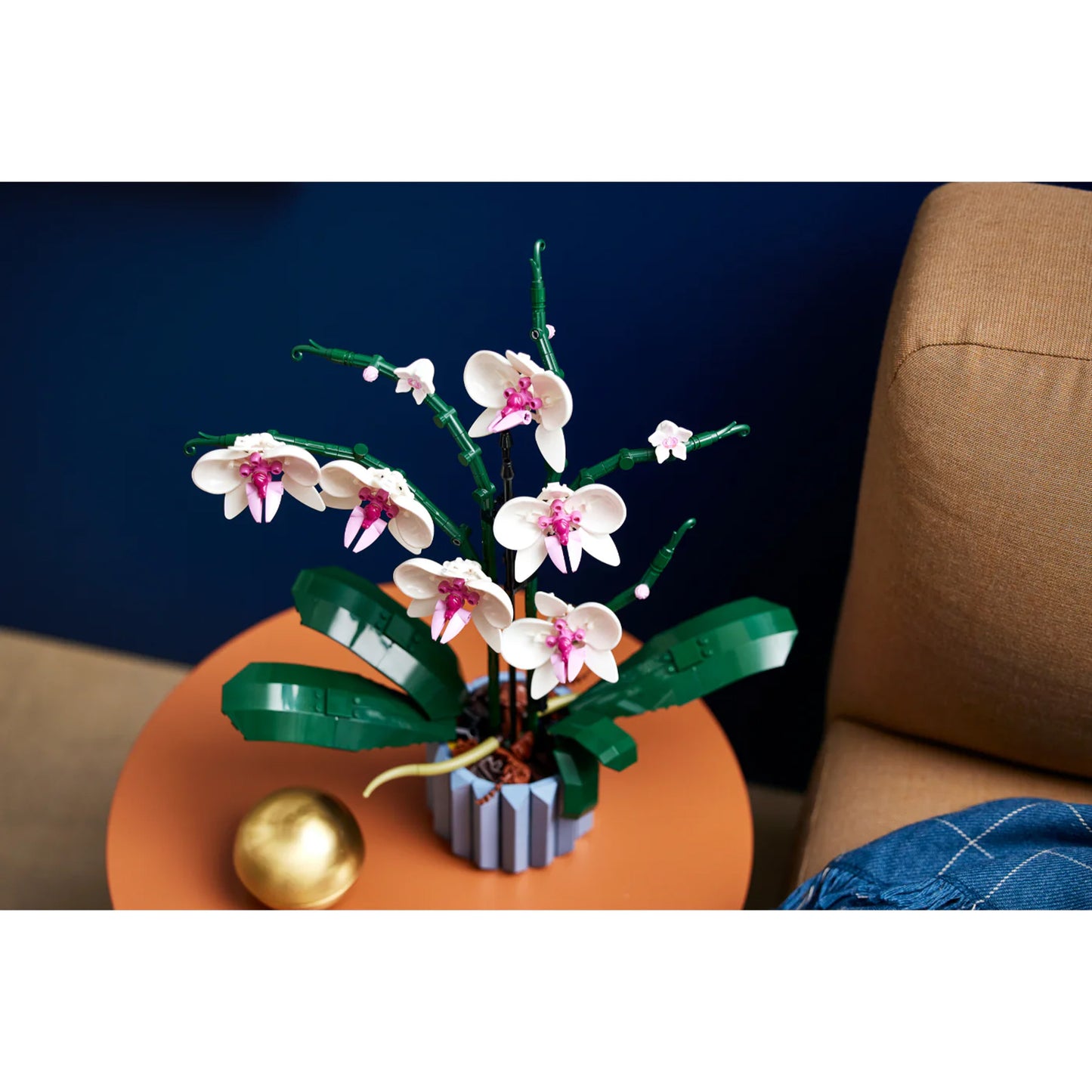 Orquídea
