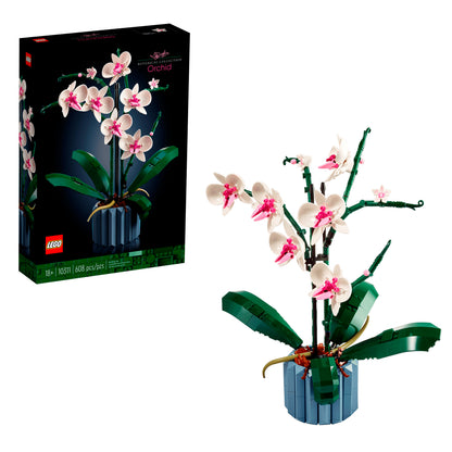 ORCHID