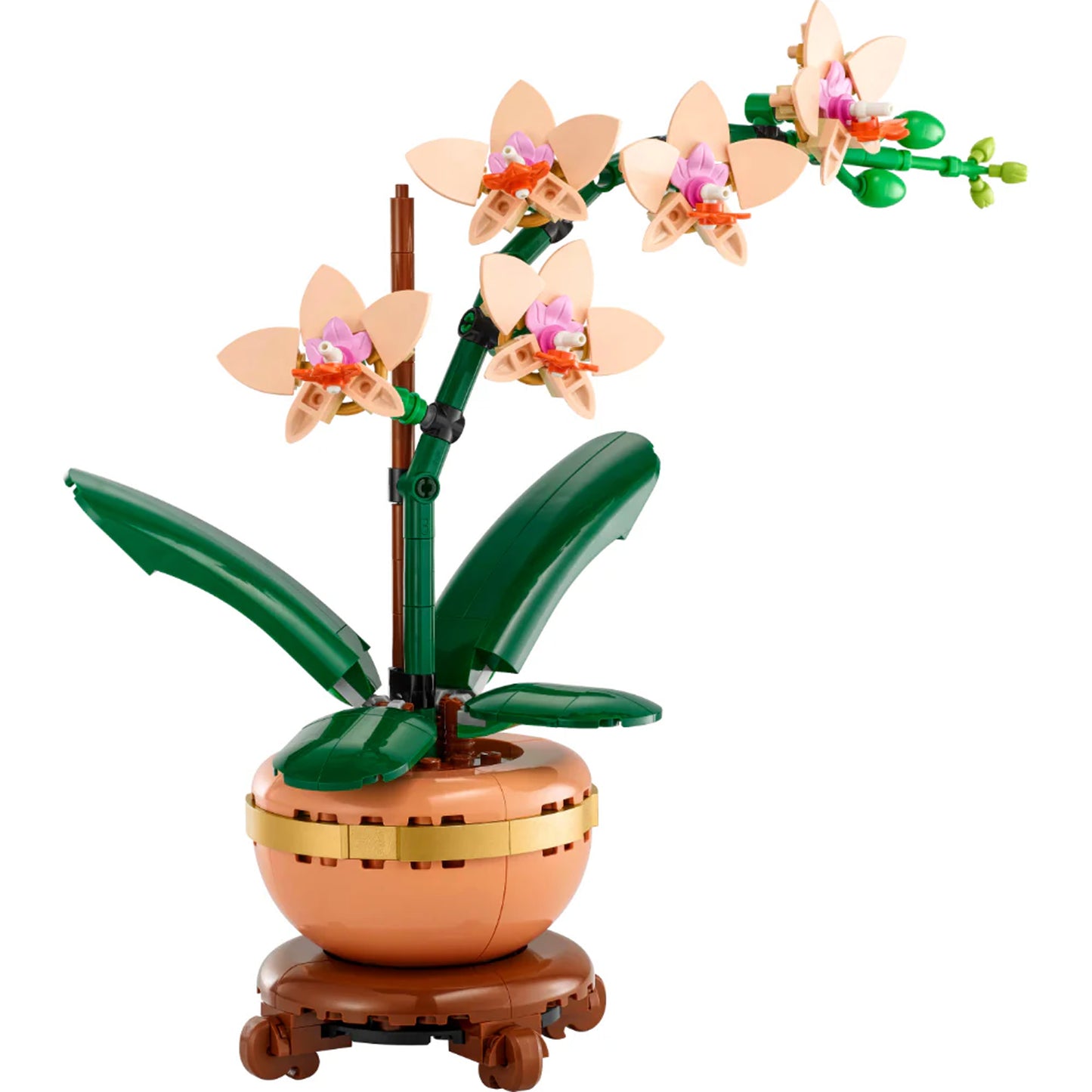 Mini Orquídea