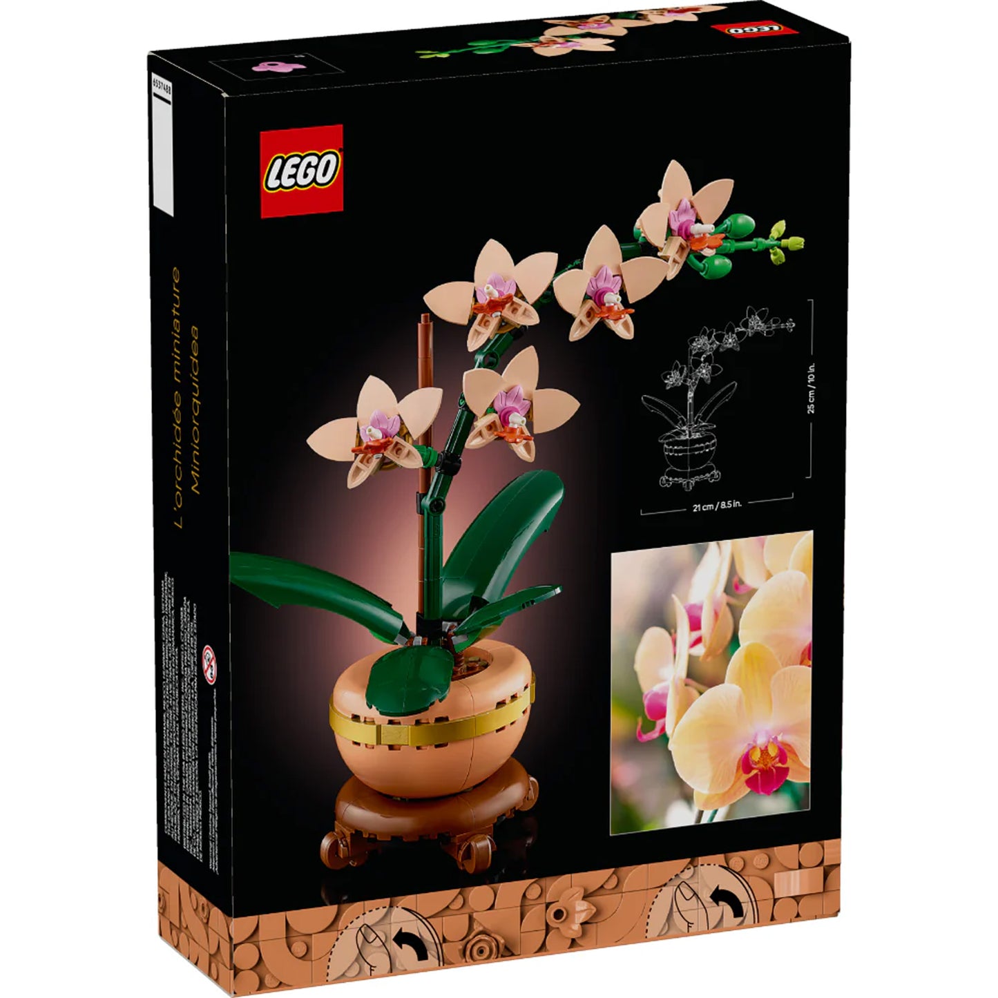 Mini Orquídea