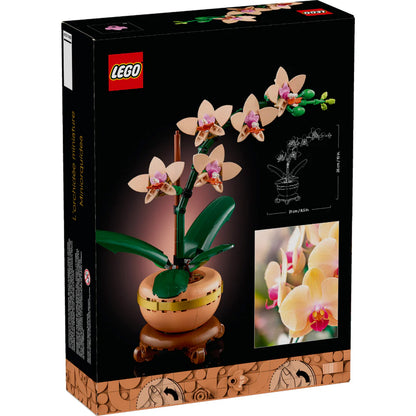 Mini Orquídea