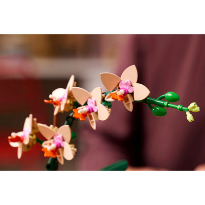 Mini Orquídea