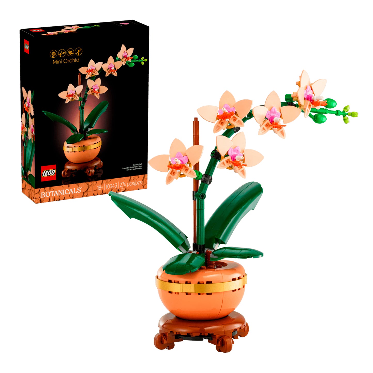 MINI ORCHID