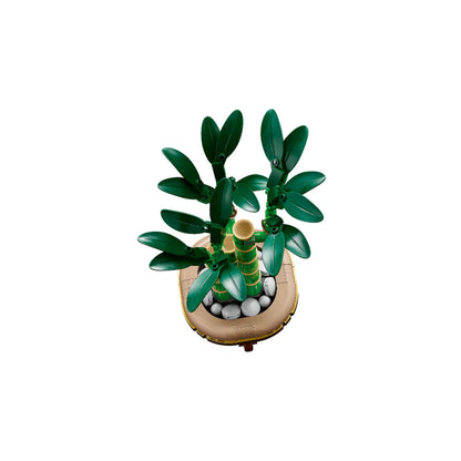 Bambú de la Suerte