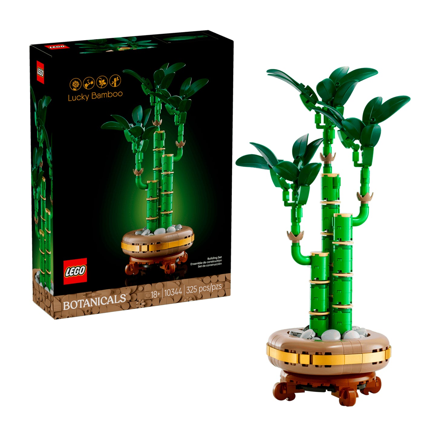 LUCKY BAMBOO