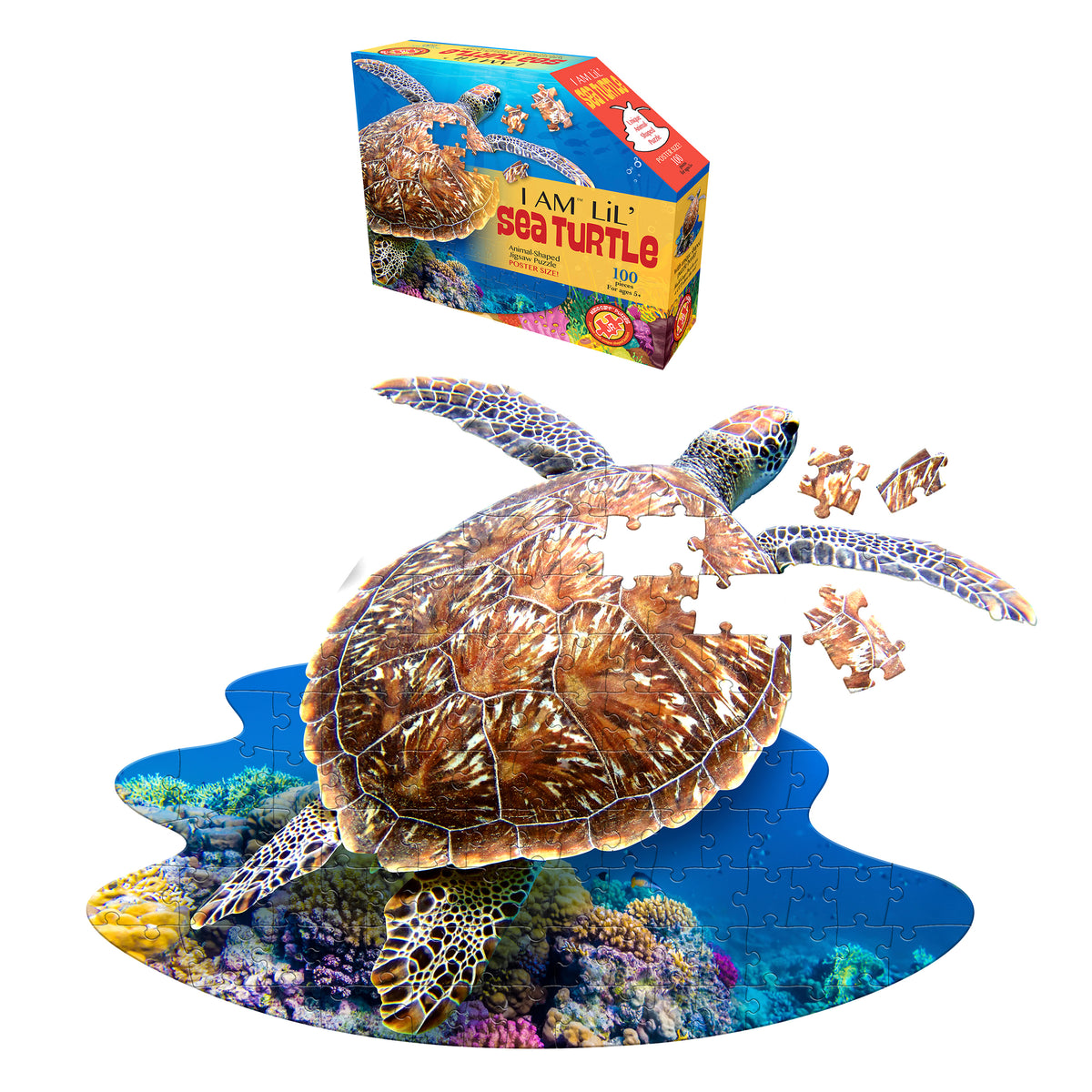 Rompecabezas De Tortuga