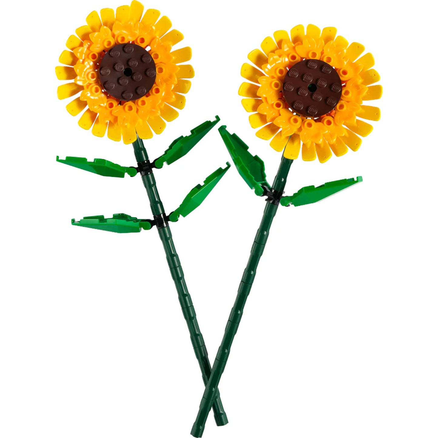 Girasoles