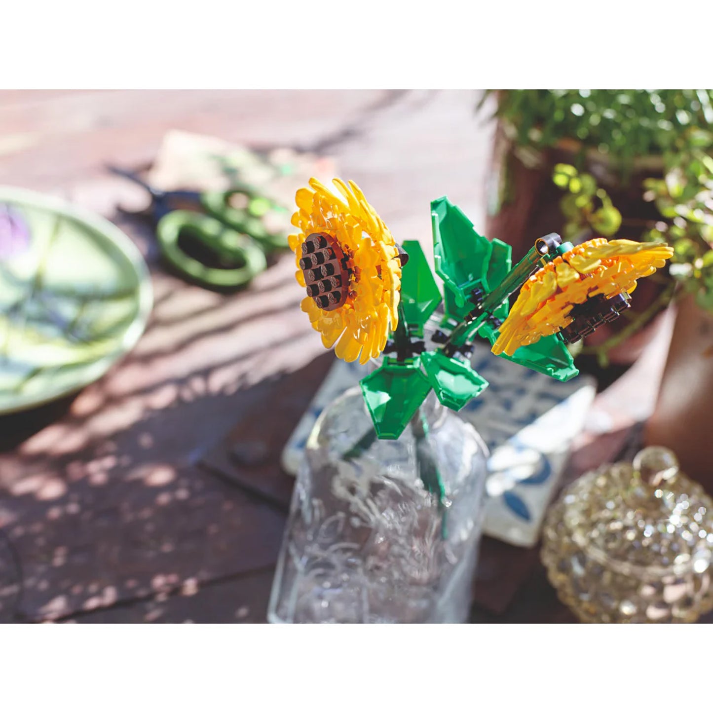 Girasoles
