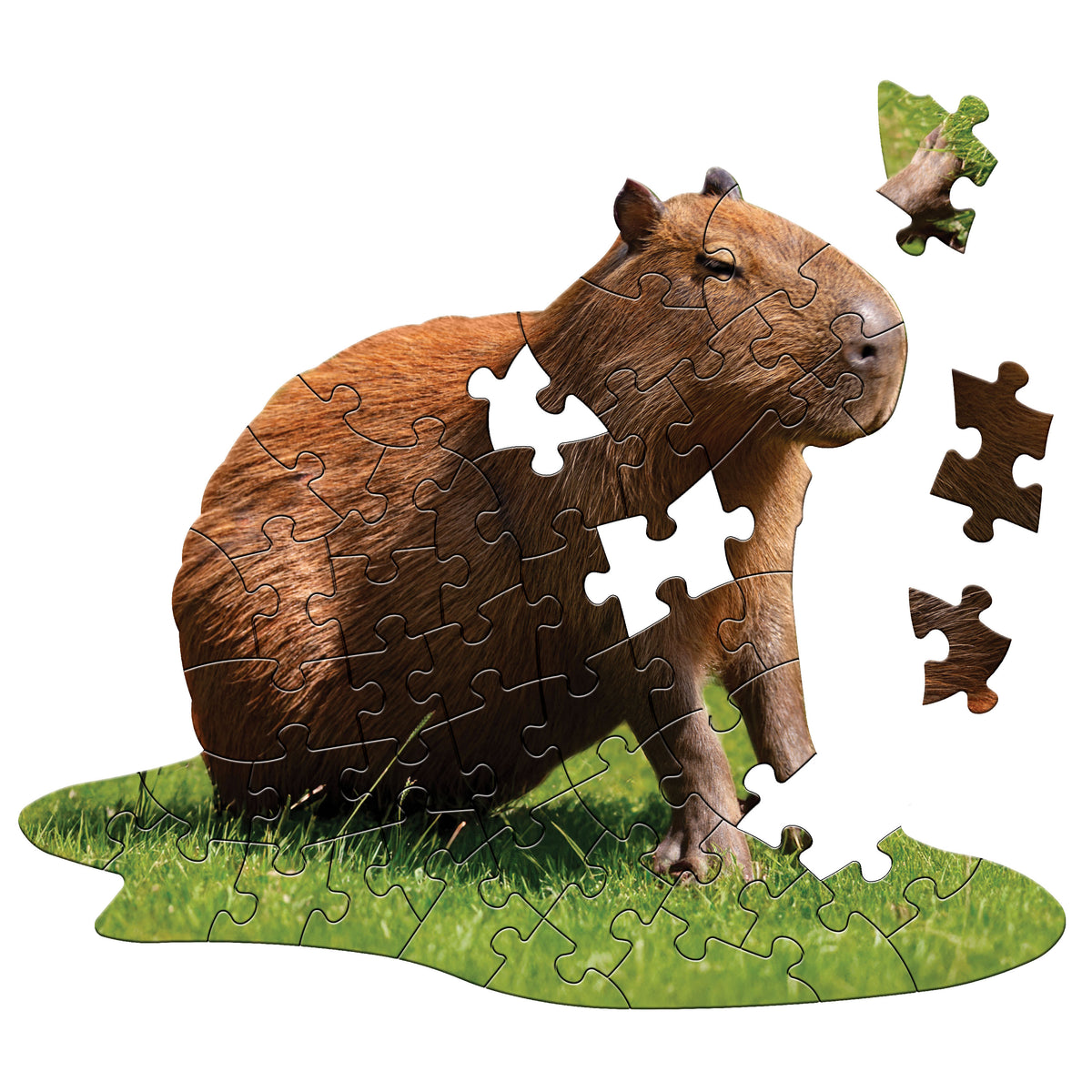 Rompecabezas De Capibara