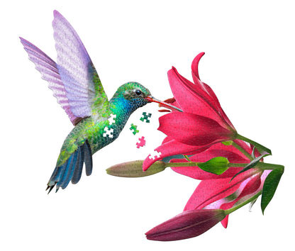 Rompecabezas De Colibri