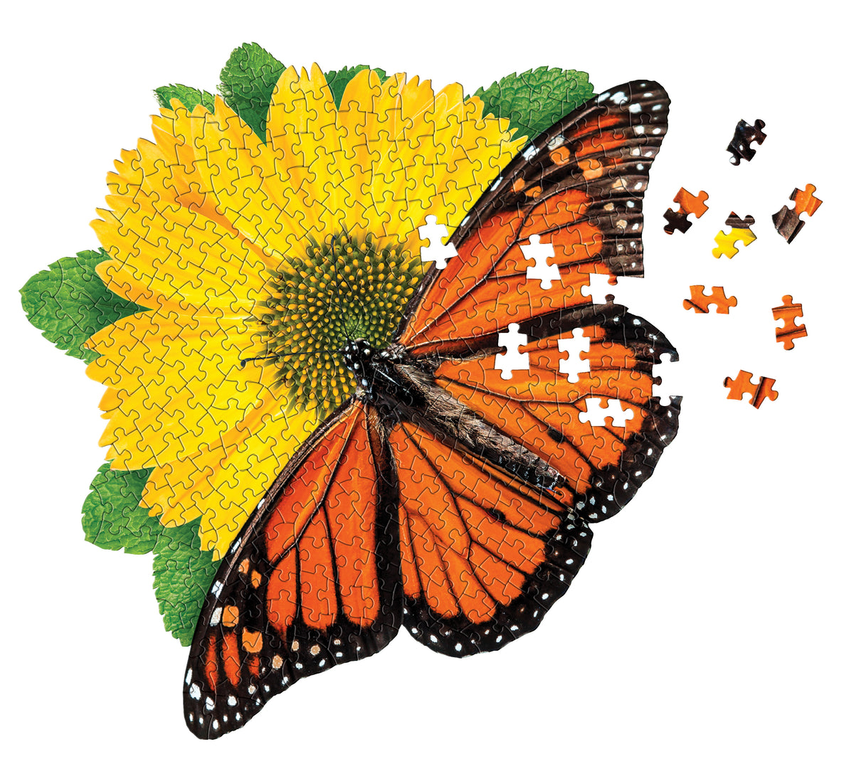 Rompecabezas De Mariposa