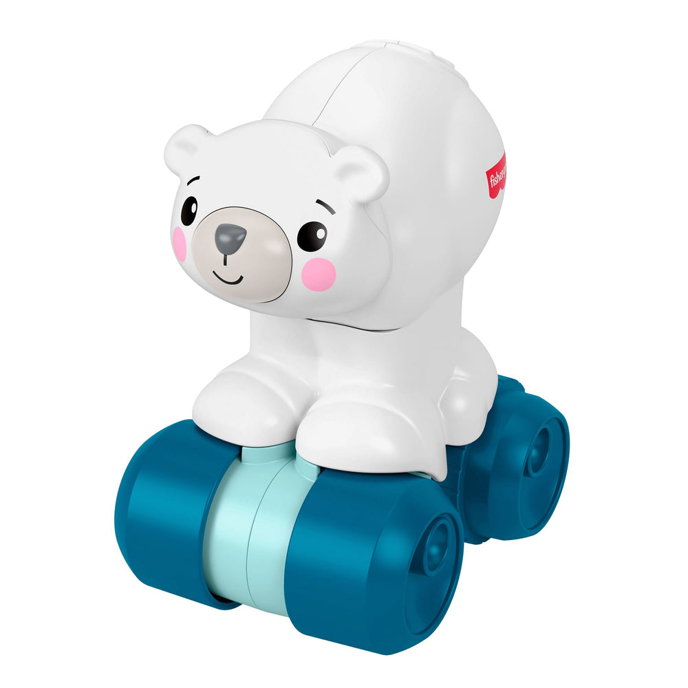Oso Polar