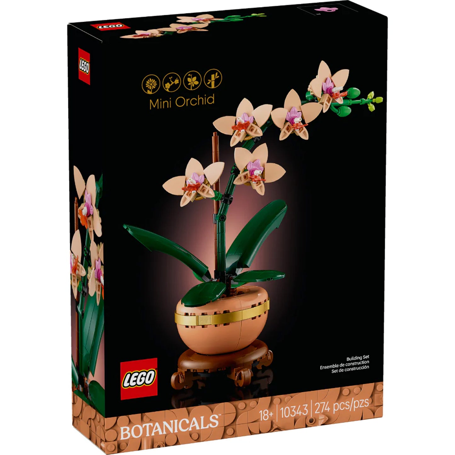 Mini Orquídea