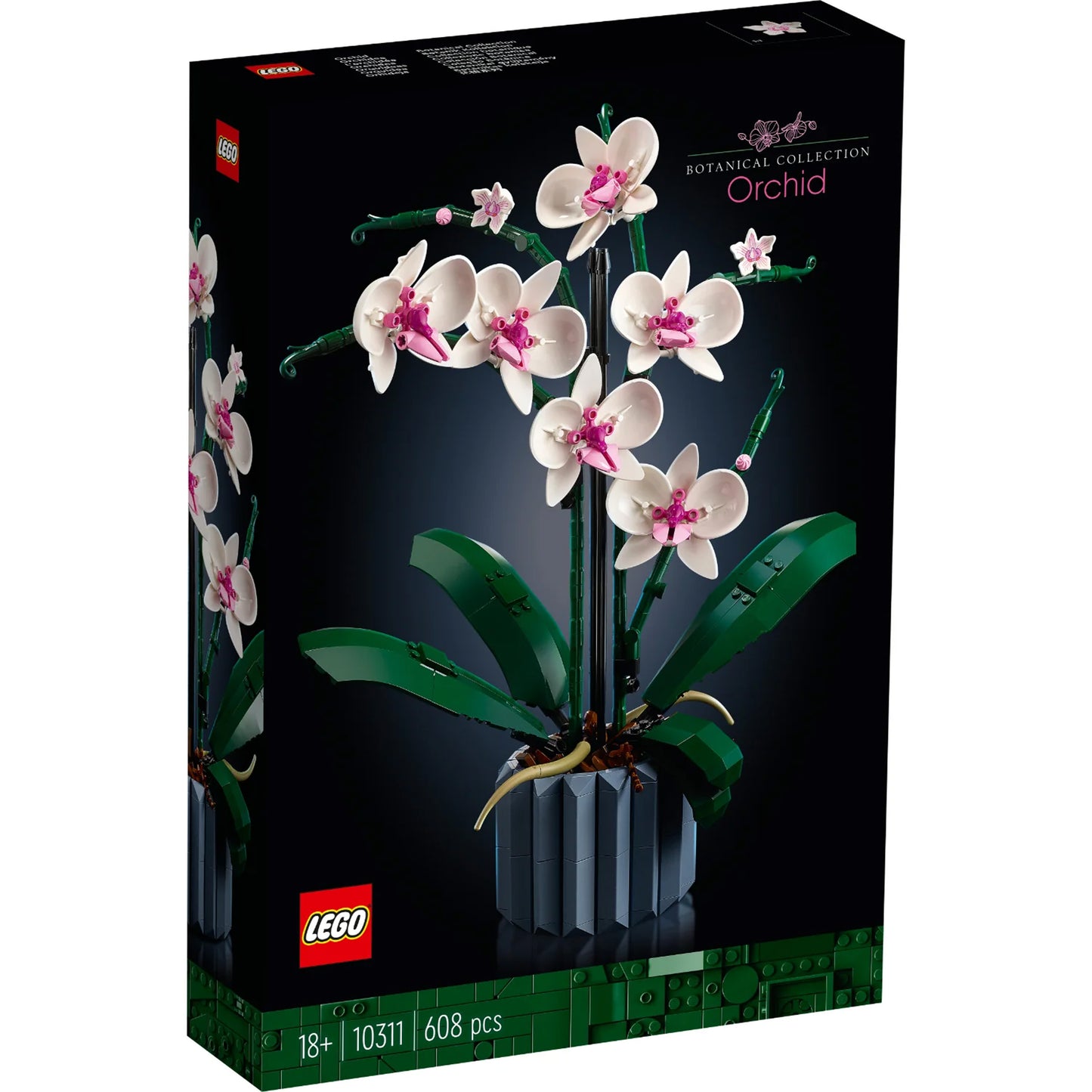 Orquídea