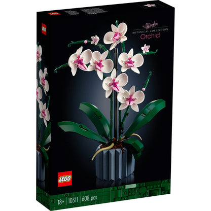 Orquídea
