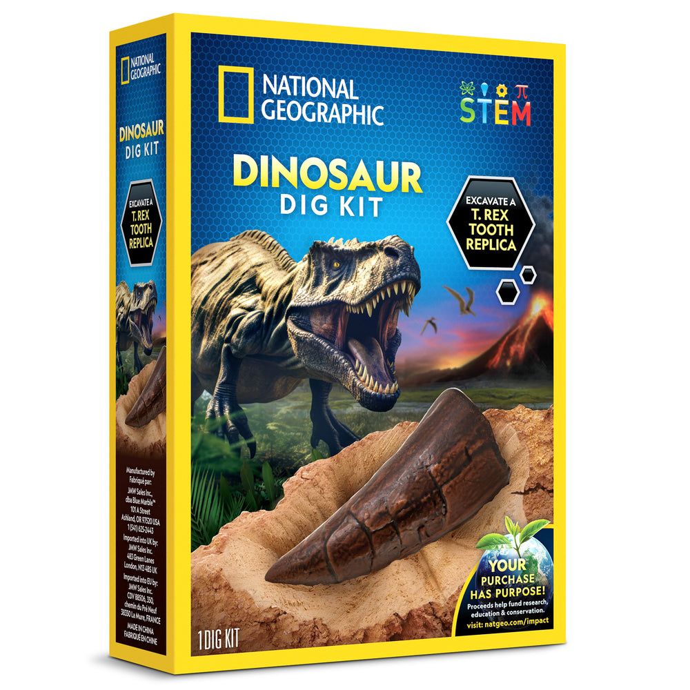 Kit de Excavacion de Huevos de Dinosaurio