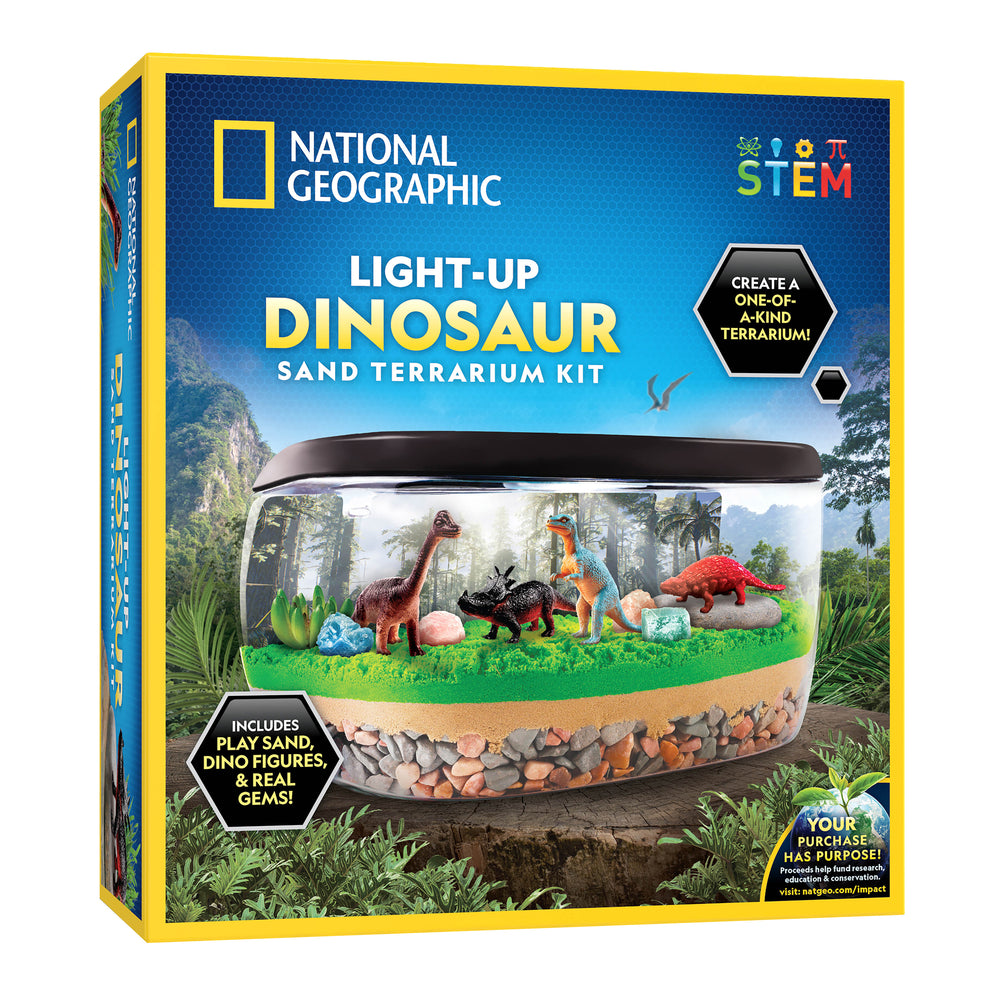 Kit Terrario de Dinosaurio