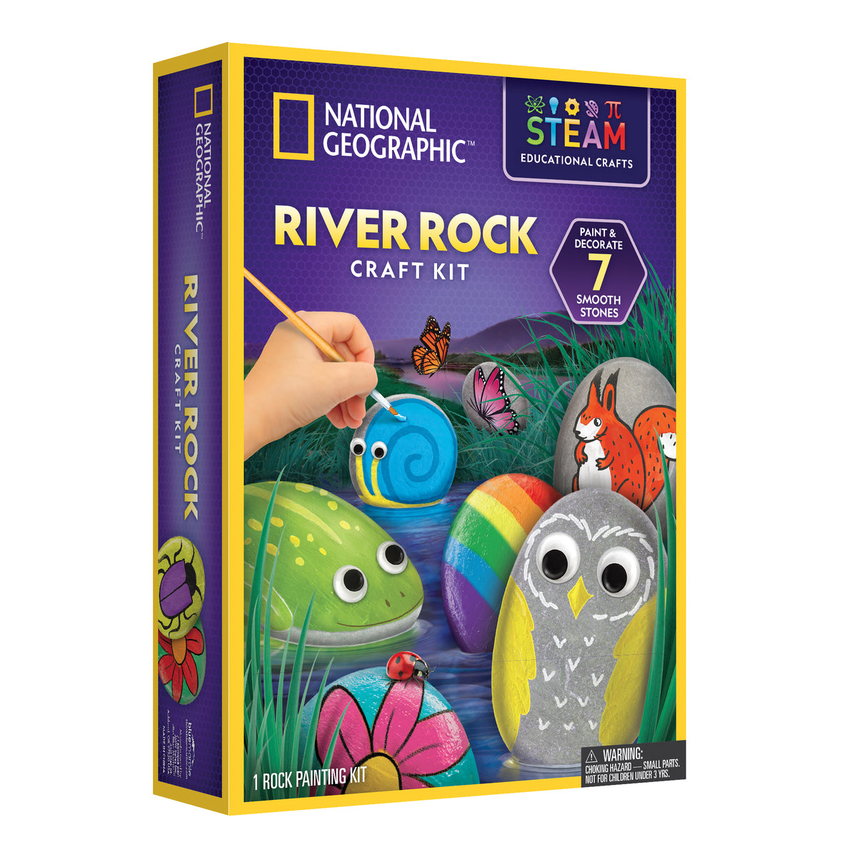 Kit de Pintura de Rocas